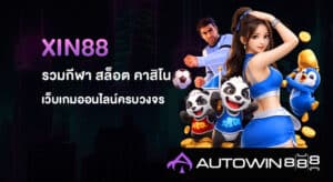 XIN88
