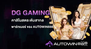 DG GAMING
