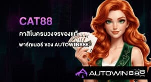 Cat88